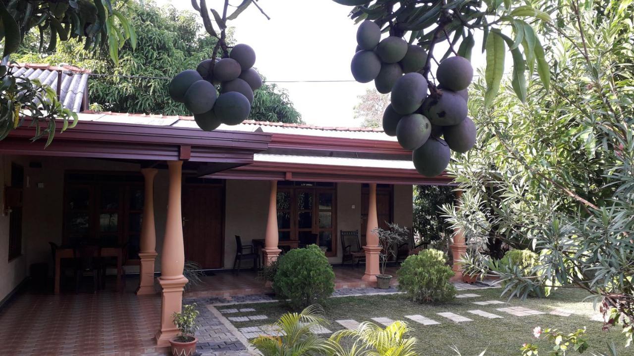 Shan Mango Homestay Sigiriya Dış mekan fotoğraf