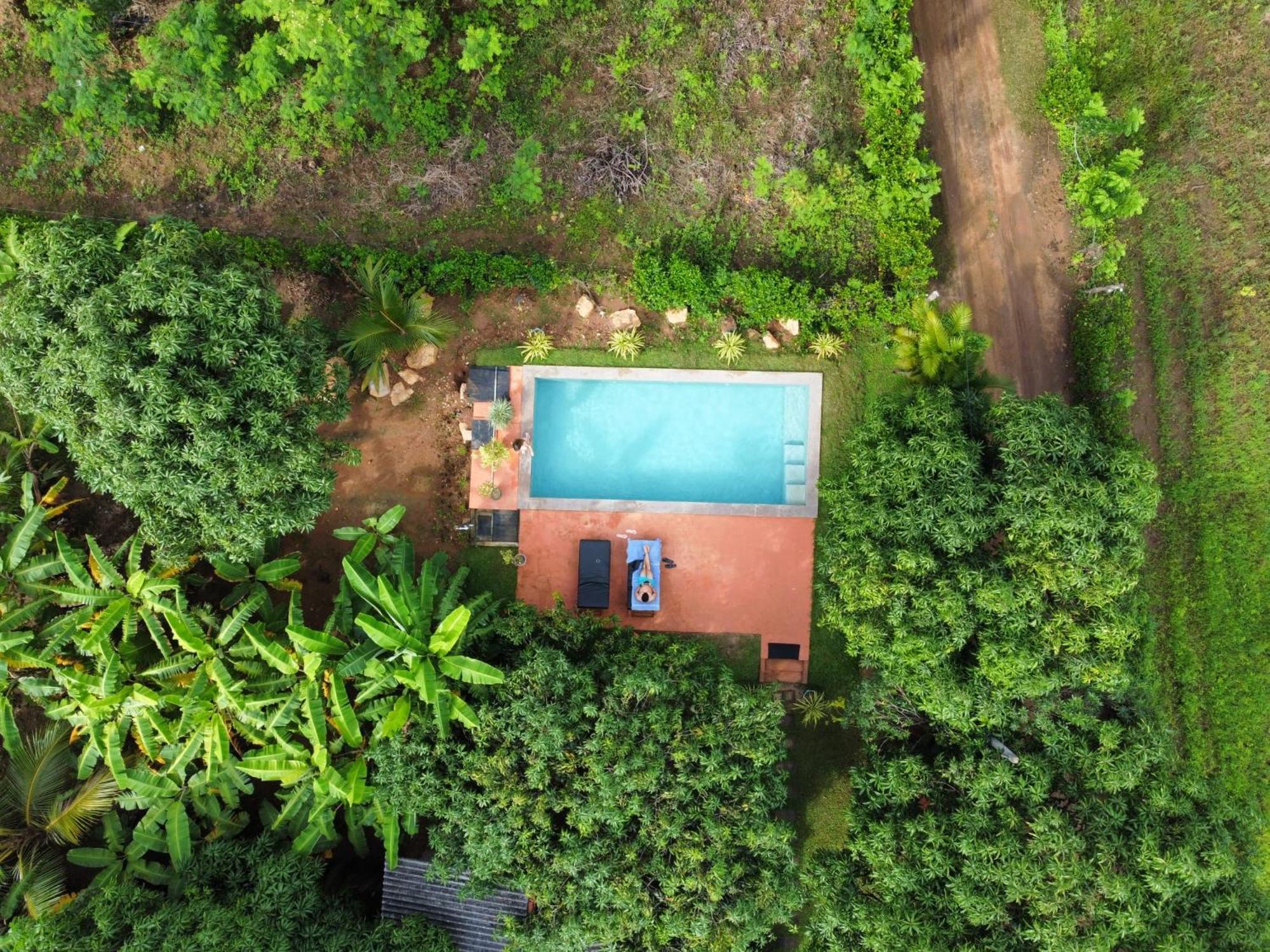 Shan Mango Homestay Sigiriya Dış mekan fotoğraf