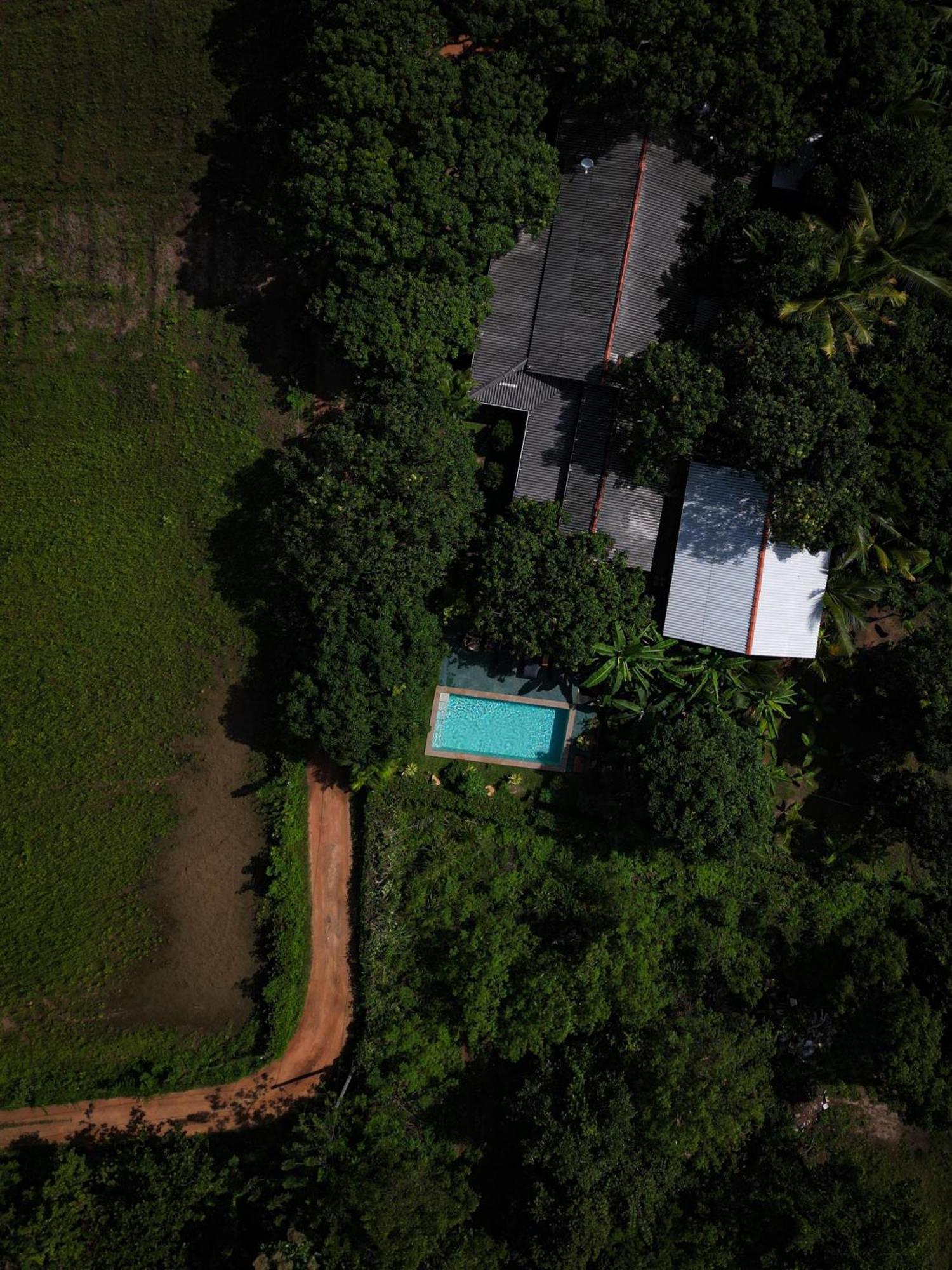 Shan Mango Homestay Sigiriya Dış mekan fotoğraf
